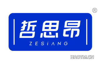 哲思昂 ZESIANG