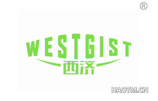 西济 WESTGIST