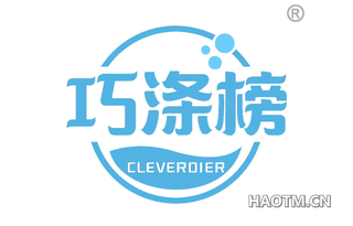 巧涤榜 CLEVERDIER