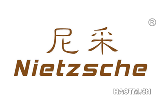 尼采 NIETZSCHE