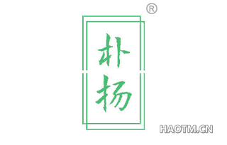 朴扬 