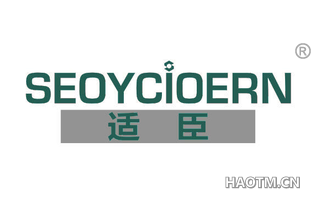 适臣 SEOYCIOERN