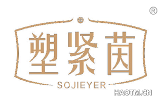 塑紧茵 SOJIETER