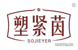 塑紧茵 SOJIEYER