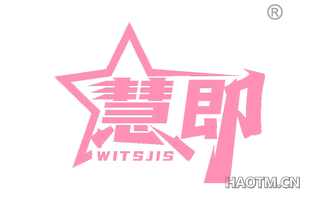 慧即 WITSJIS