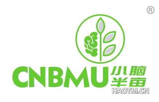 小脑半亩 CNBMU