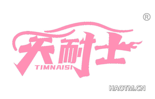 天耐士 TIMNAISI