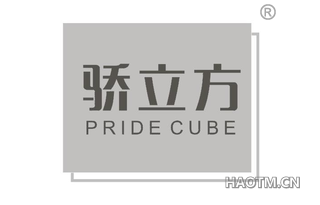 骄立方 PRIDE CUBE