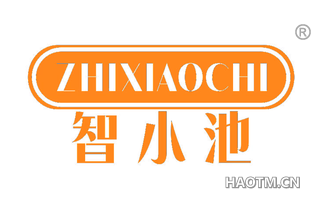 智小池 