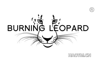 BURNING LEOPARD