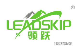 领跃 LEADSKIP