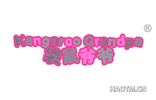 袋鼠爷爷 KANGAROO GRANDPA