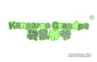 袋鼠爷爷 KANGAROO GRANDPA