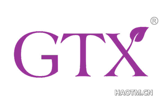  GTX