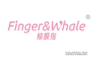 鲸膜指 FINGER WHALE