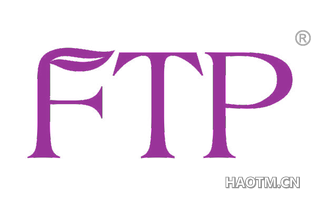  FTP