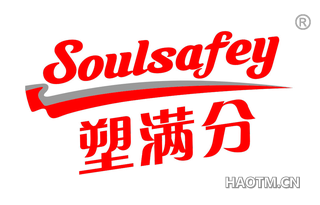 塑满分 SOULSAFEY