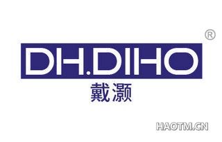 戴灏 DH DIHO