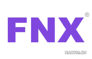  FNX