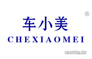 车小美 