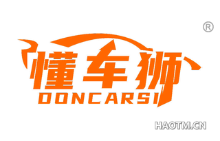 懂车狮 DONCARSI