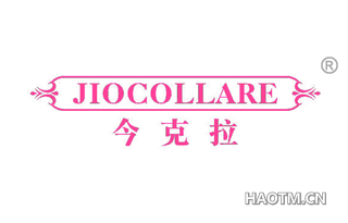 今克拉 JIOCOLLARE