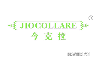 今克拉 JIOCOLLARE