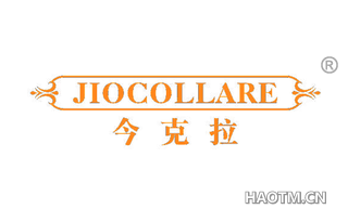 今克拉 JIOCOLLARE