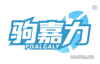 驹嘉力 FOALGALY