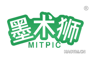 墨术狮 MITPIC