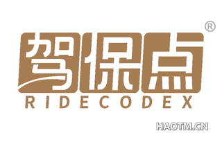 驾保点 RIDECODEX