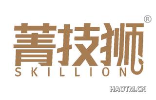 菁技狮 SKILLION