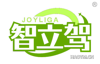 智立驾 JOYLIGA