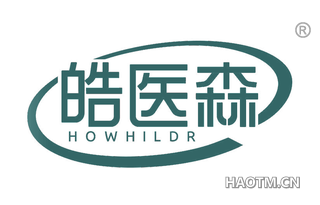 皓医森 HOWHILDR