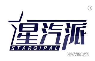 星汽派 STARQIPAL