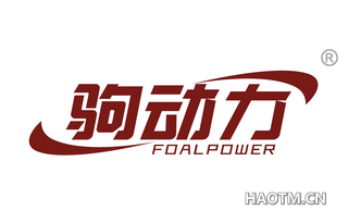 驹动力 FOALPOWER