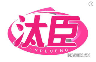 汰臣 TYPECENG