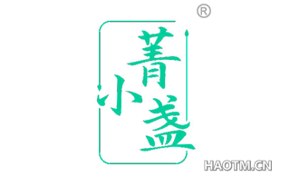 菁小盏 