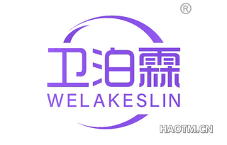 卫泊霖 WELAKESLIN