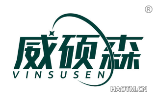 威硕森 VINSUSEN