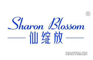 仙绽放 SHARON BLOSSOM