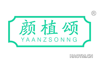 颜植颂 YAANZSONNG