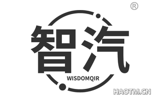 智汽 WISDOMQIR