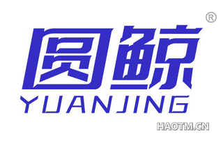 圆鲸 