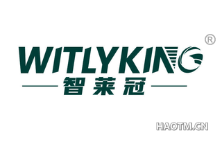 智莱冠 WITLYKING