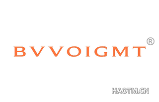  BVVOIGMT