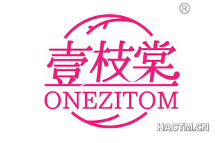 壹枝棠 ONEZITOM