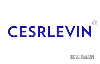  CESRLEVIN