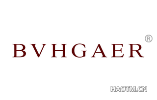 BVHGAER