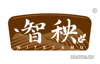 智秧 WITSYAMG